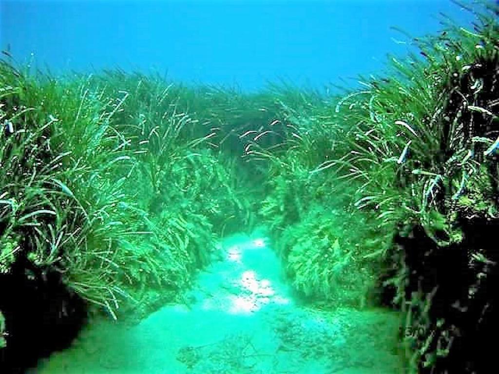 Sea Breeze Ena Διαμέρισμα Κορακοχώρι Εξωτερικό φωτογραφία