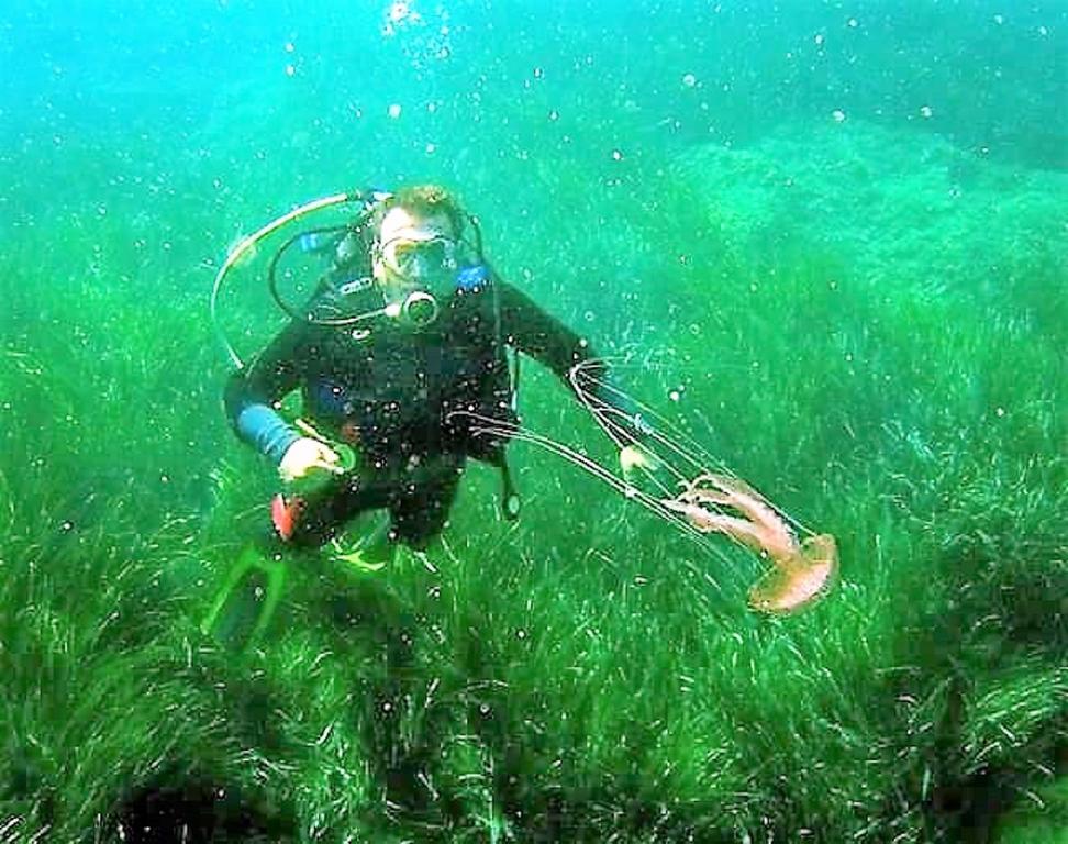 Sea Breeze Ena Διαμέρισμα Κορακοχώρι Εξωτερικό φωτογραφία